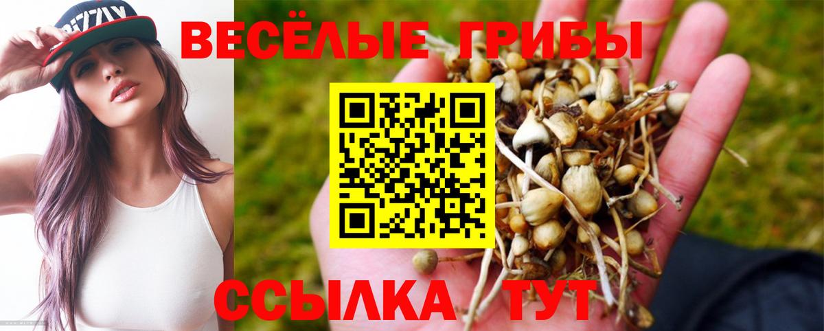 Галлюциногенные грибы прущие грибы  Вход с VPN  Псилоцибиновые грибы Psilocybe  Феодосия 